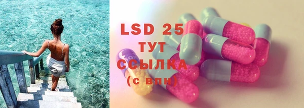 эйфоретик Инта