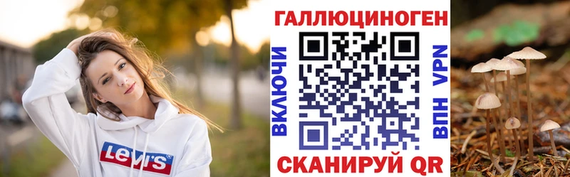 Купить  Переславль-Залесский  Галлюциногенные грибы Cubensis 